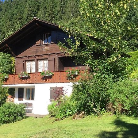 Ferienwohnung Betula Bad-Schwarzsee Extérieur photo
